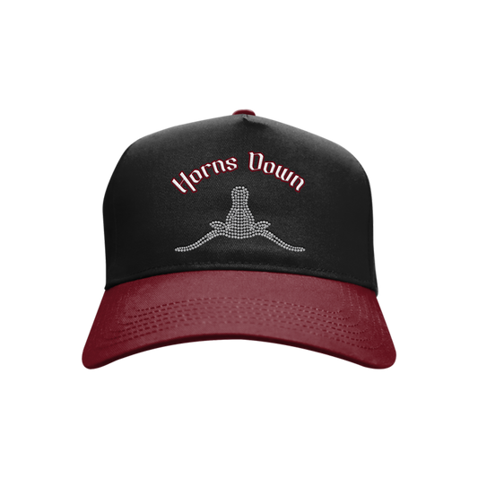 RHINESTONE HORNS DOWN HAT